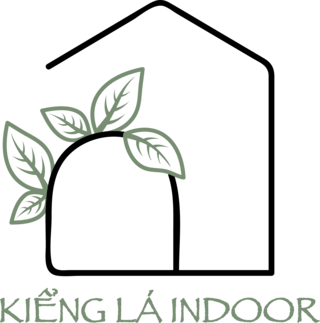 Kiểng Lá Indoor